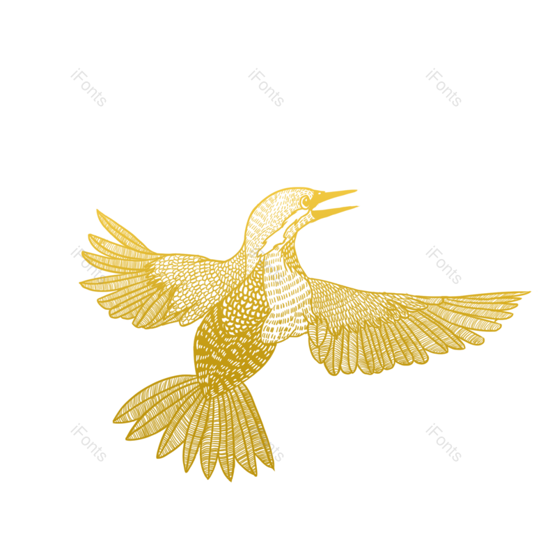 春天图片,线描元素,PNG,免抠素材